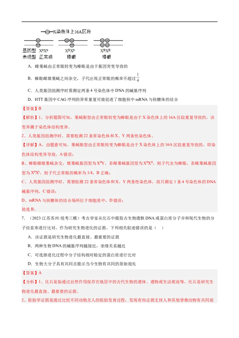 《专题06变异与进化（分层练）（解析版）_初高中资料库_高中资料库（转存避免链接过期失效）_高中生物》第4页预览