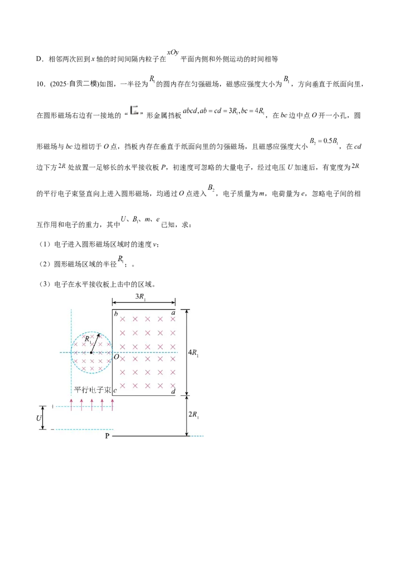 《专题08磁场（学生版）_高考一二三轮复习_物理_2026年-物理高考专项复习_2025年高考物理二模试题分类汇编（四川专用）》第6页预览