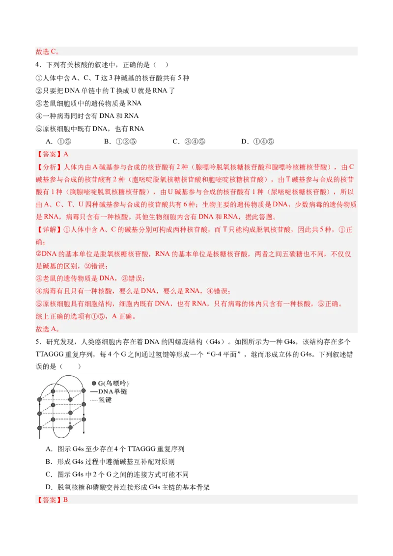 《第18讲DNA分子的结构、复制与基因的本质（专项训练）（黑吉辽蒙专用）（教师版）_高考一二三轮复习_生物_2026年高考生物一轮_2026年高考生物一轮课件+讲义+练习（黑吉辽蒙专用）-G330》第3页预览