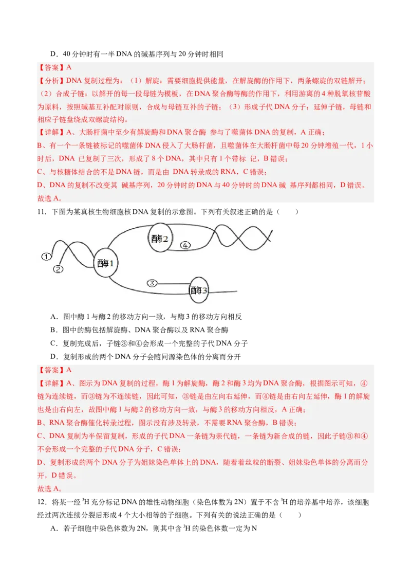 《第18讲DNA分子的结构、复制与基因的本质（专项训练）（黑吉辽蒙专用）（教师版）_高考一二三轮复习_生物_2026年高考生物一轮_2026年高考生物一轮课件+讲义+练习（黑吉辽蒙专用）-G330》第7页预览