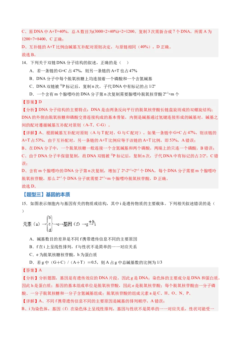 《第18讲DNA分子的结构、复制与基因的本质（专项训练）（黑吉辽蒙专用）（教师版）_高考一二三轮复习_生物_2026年高考生物一轮_2026年高考生物一轮课件+讲义+练习（黑吉辽蒙专用）-G330》第9页预览