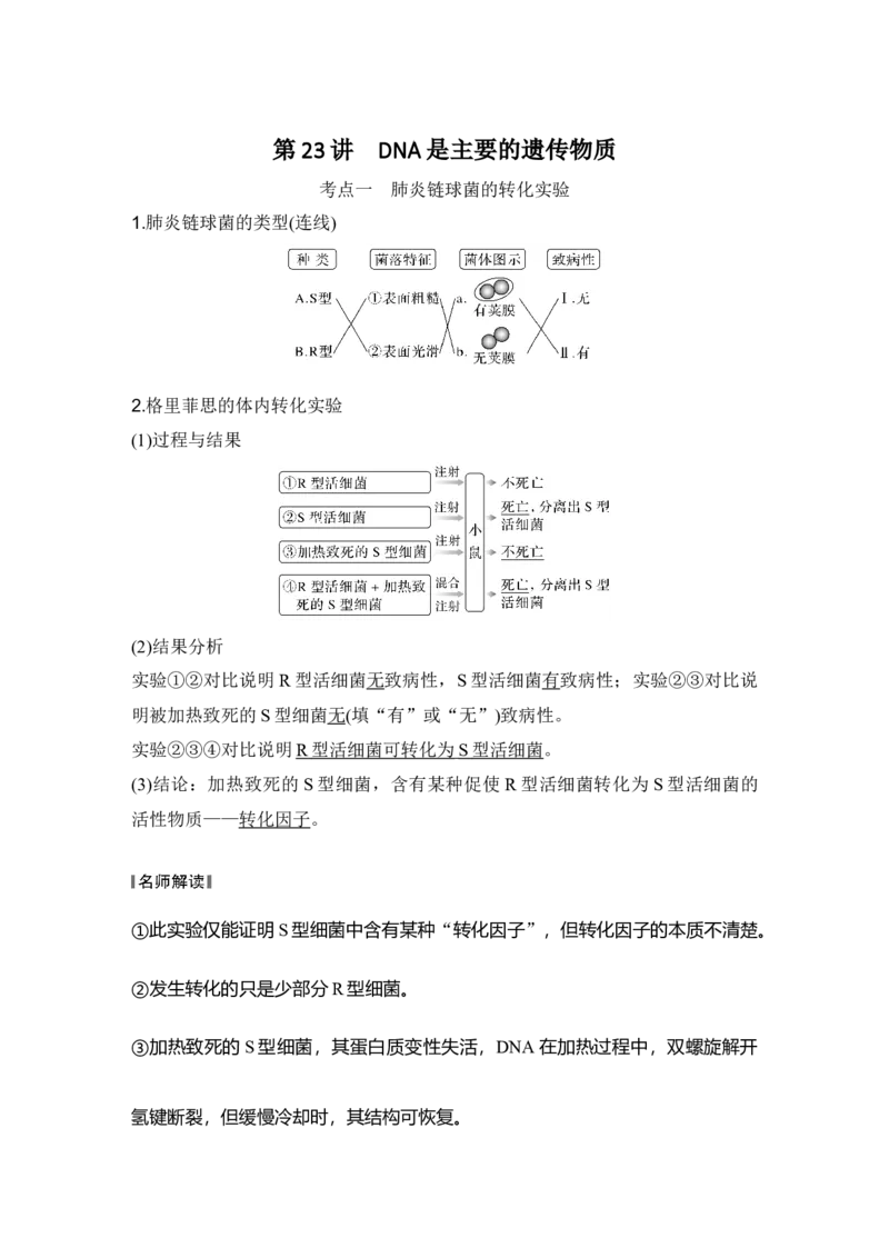 《第23讲DNA是主要的遗传物质_高考一二三轮复习_生物_2027年高考生物一轮_12027年高考生物一轮复习讲义（考点详解）》第1页预览