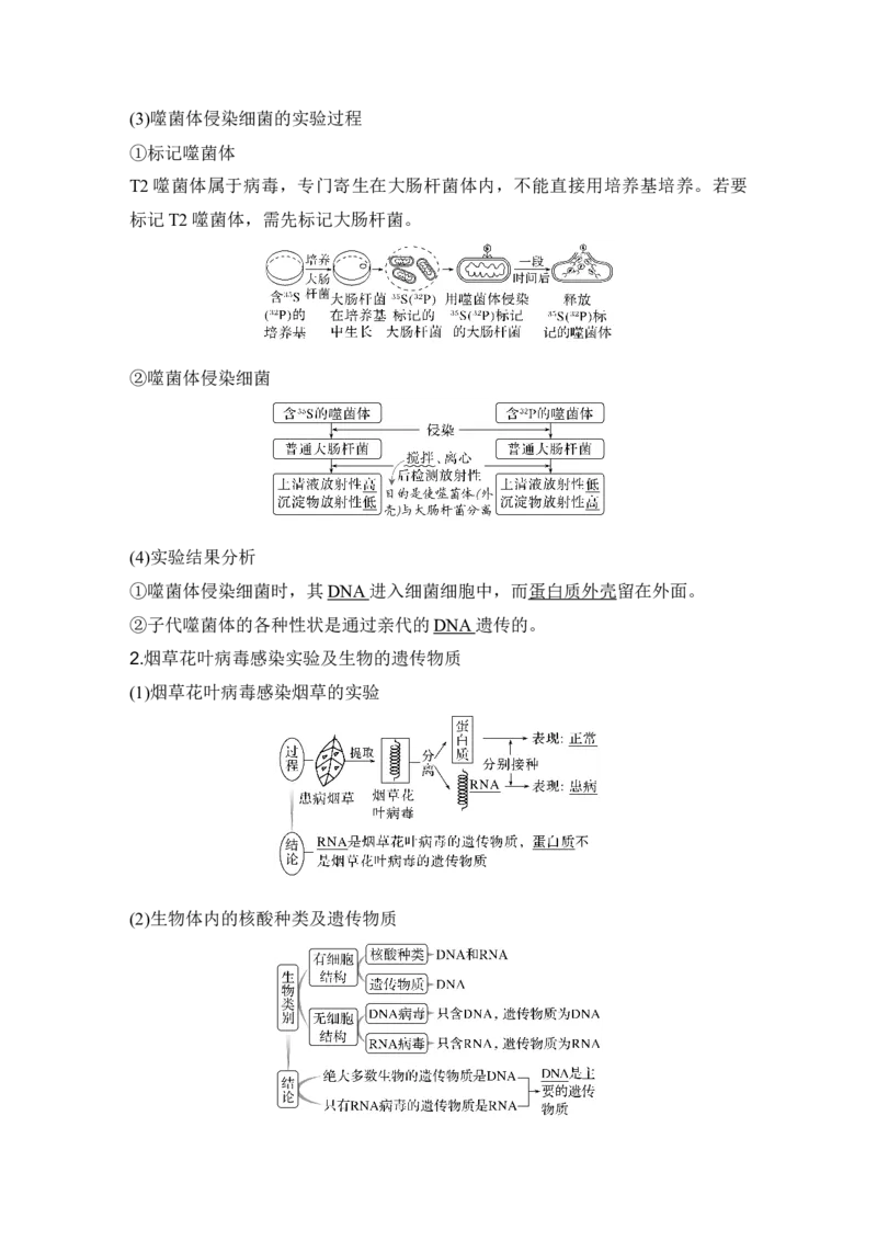 《第23讲DNA是主要的遗传物质_高考一二三轮复习_生物_2027年高考生物一轮_12027年高考生物一轮复习讲义（考点详解）》第6页预览
