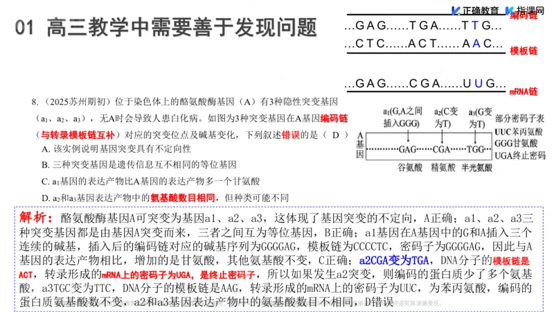 《生物-南航大附中陈旗建《强化教考衔接，提升复习效率》(1)_2026版高中《二三轮复习+冲刺复习》》第8页预览