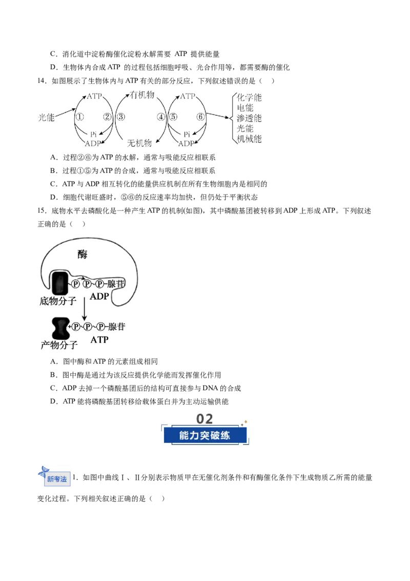 《第08讲酶和ATP（专项训练）（黑吉辽蒙专用）（学生版）_高考一二三轮复习_生物_2026年高考生物一轮_2026年高考生物一轮课件+讲义+练习（黑吉辽蒙专用）-G330》第5页预览