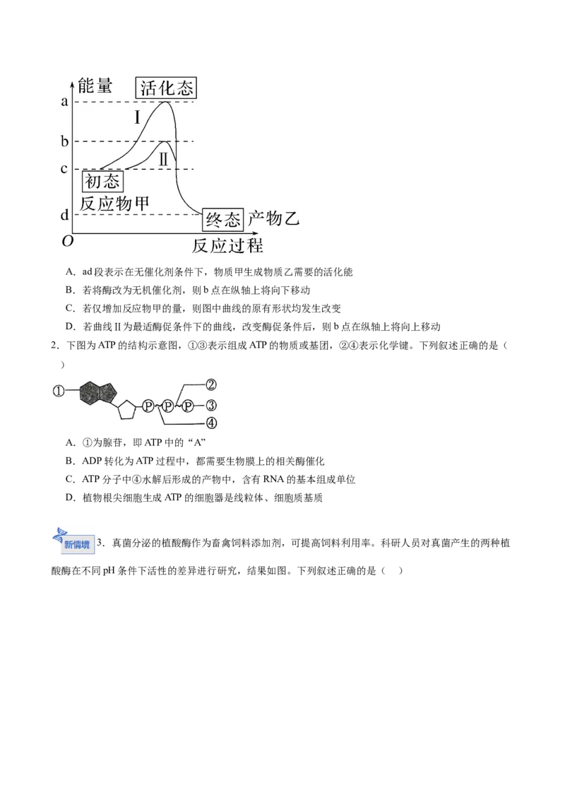 《第08讲酶和ATP（专项训练）（黑吉辽蒙专用）（学生版）_高考一二三轮复习_生物_2026年高考生物一轮_2026年高考生物一轮课件+讲义+练习（黑吉辽蒙专用）-G330》第6页预览