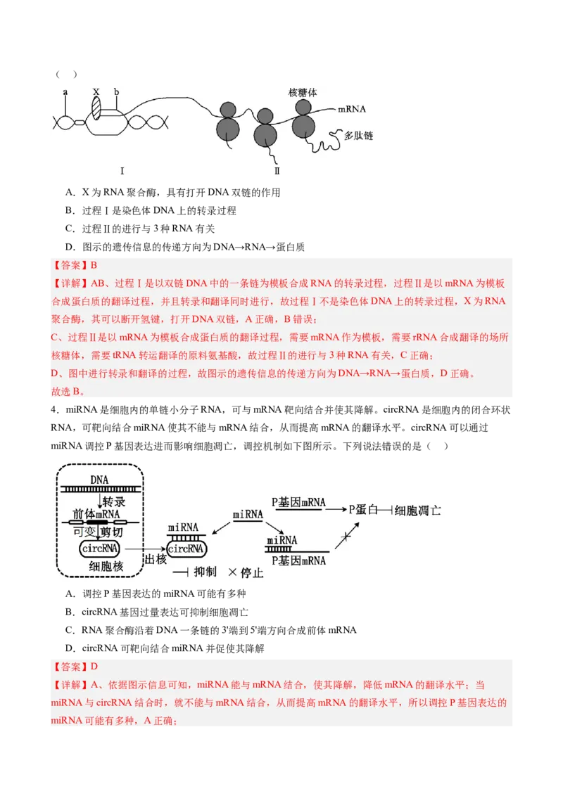 《第22讲基因的表达、基因与性状的关系（专项训练）（安徽专用）（教师版）_高考一二三轮复习_生物_2026年高考生物一轮_2026年高考生物一轮课件+讲义+练习（安徽专用）-G326》第3页预览