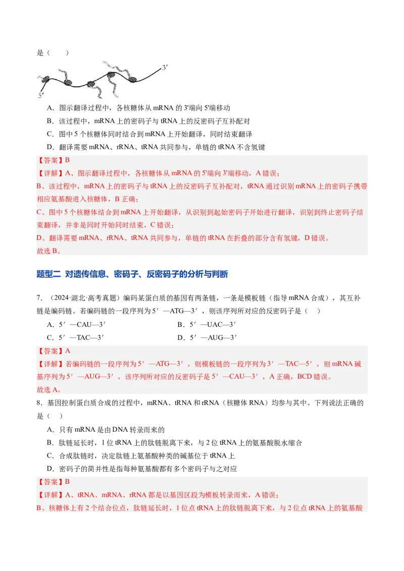 《第22讲基因的表达、基因与性状的关系（专项训练）（安徽专用）（教师版）_高考一二三轮复习_生物_2026年高考生物一轮_2026年高考生物一轮课件+讲义+练习（安徽专用）-G326》第5页预览