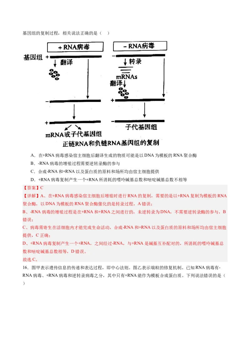 《第22讲基因的表达、基因与性状的关系（专项训练）（安徽专用）（教师版）_高考一二三轮复习_生物_2026年高考生物一轮_2026年高考生物一轮课件+讲义+练习（安徽专用）-G326》第9页预览