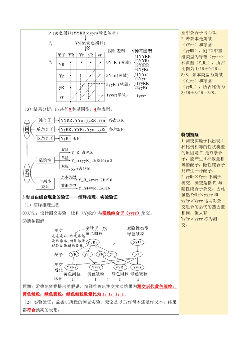 《第16讲自由组合定律（知识清单）（全国通用）（教师版）_高考一二三轮复习_生物_2027年高考生物一轮_2027年高考生物一轮复习知识清单（全国通用）-G56_2027版》第5页预览