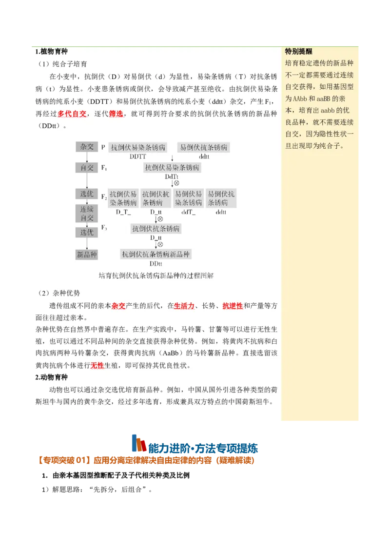 《第16讲自由组合定律（知识清单）（全国通用）（教师版）_高考一二三轮复习_生物_2027年高考生物一轮_2027年高考生物一轮复习知识清单（全国通用）-G56_2027版》第7页预览
