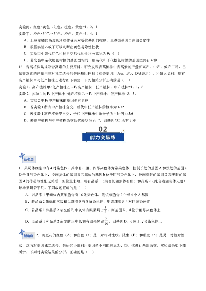 《第17讲自由组合定律第1课时（专项训练）（福建专用）（原卷版）_高考一二三轮复习_生物_2026年高考生物一轮_2026年高考生物一轮课件+讲义+练习（福建专用）-G328》第4页预览