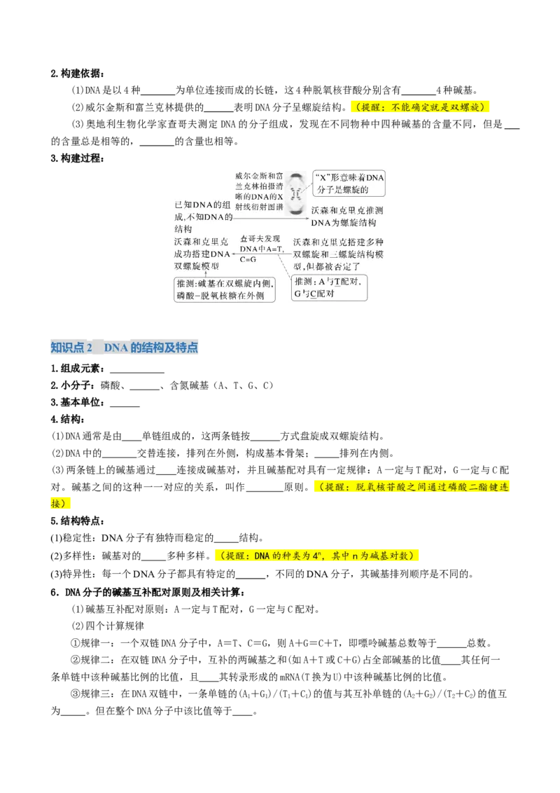《第20讲DNA的结构、复制与基因的本质（复习讲义）（全国通用）（原卷版）_高考一二三轮复习_生物_2026年高考生物一轮_2026年高考生物一轮复习讲义+练习+课件（新教材新高考）-G55_2026版》第4页预览