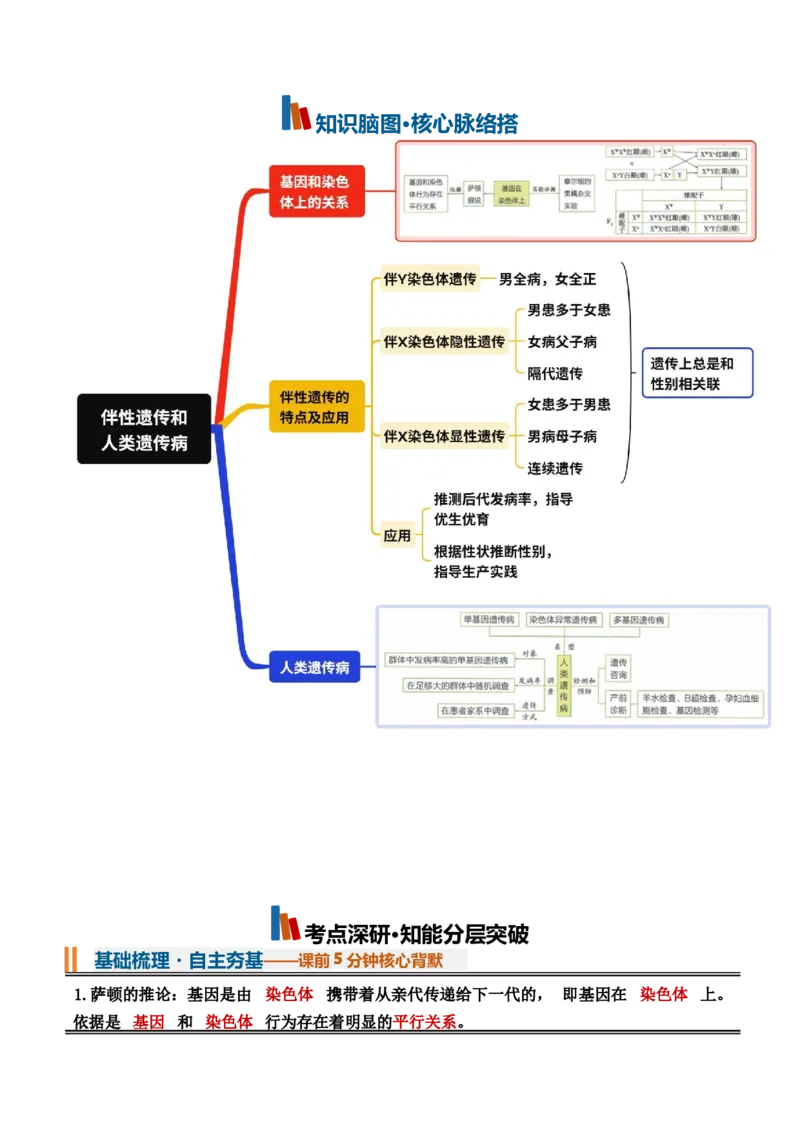 《第17讲伴性遗传和人类遗传病（知识清单）（全国通用）（教师版）_高考一二三轮复习_生物_2027年高考生物一轮_2027年高考生物一轮复习讲义+练习+课件（新教材新高考）-G55_2027版》第2页预览