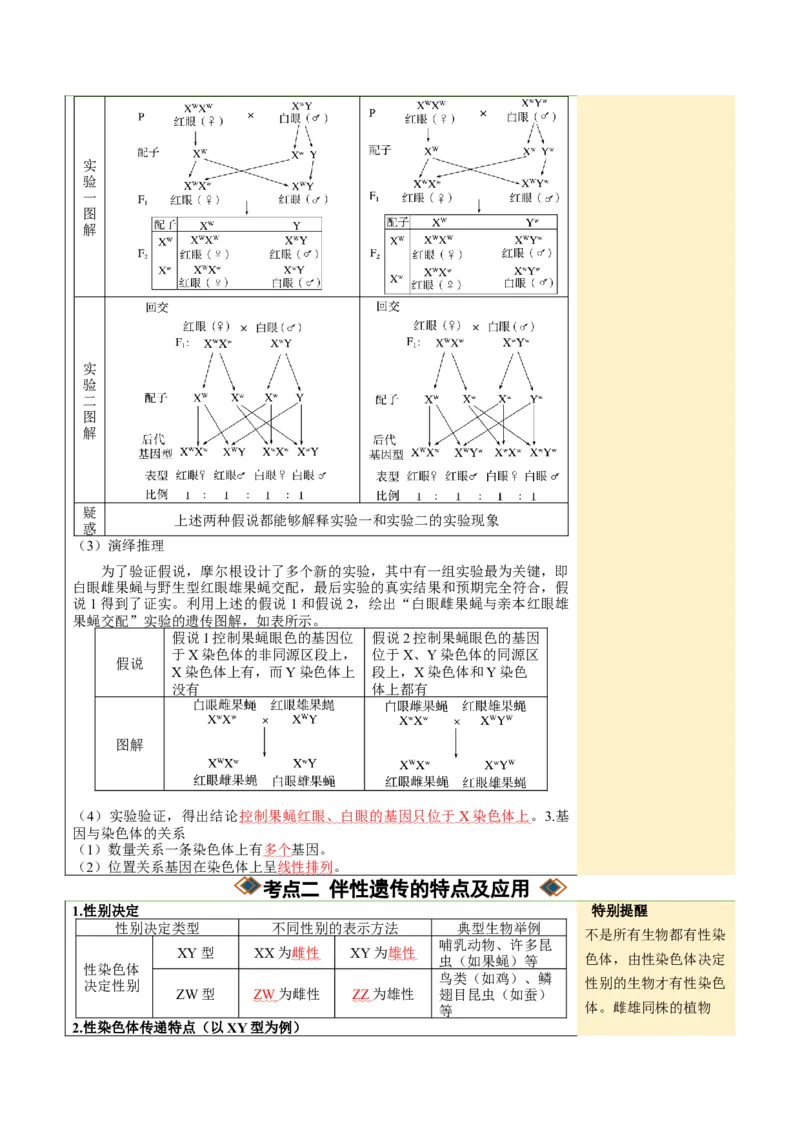 《第17讲伴性遗传和人类遗传病（知识清单）（全国通用）（教师版）_高考一二三轮复习_生物_2027年高考生物一轮_2027年高考生物一轮复习讲义+练习+课件（新教材新高考）-G55_2027版》第5页预览