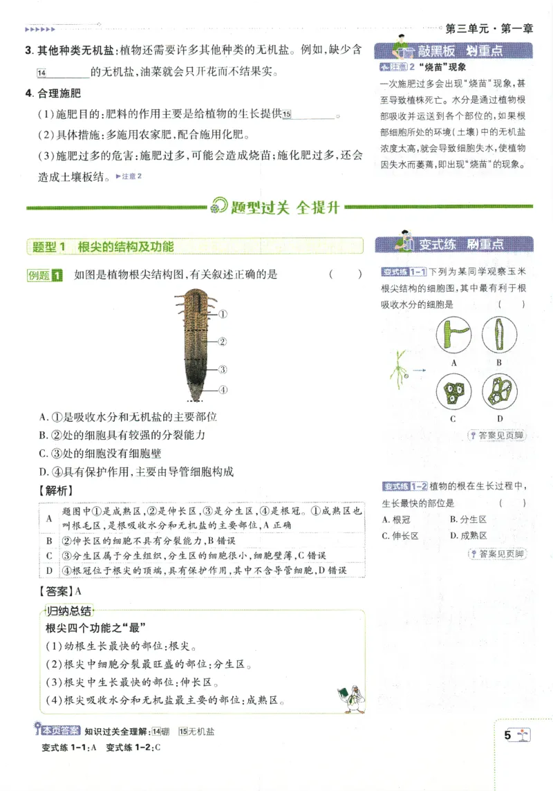 《2025版《初中必刷题》生物RJ7下新教材狂K重点_初中全科知识点总结和试卷_赠送习题试卷_初中3年学习辅助资料_2、2025初中必刷题合集_25春必刷题初中下册_2025版必刷题七下生物人教》第9页预览