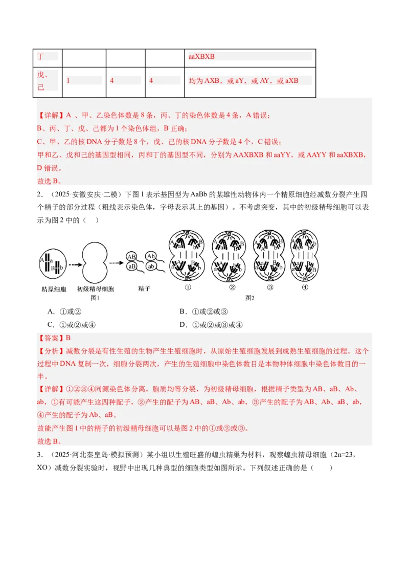 《第14讲减数分裂和受精作用（专项训练）（安徽专用）（教师版）_高考一二三轮复习_生物_2026年高考生物一轮_2026年高考生物一轮课件+讲义+练习（安徽专用）-G326》第2页预览