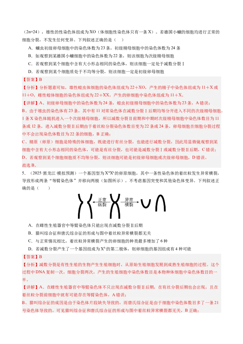 《第14讲减数分裂和受精作用（专项训练）（安徽专用）（教师版）_高考一二三轮复习_生物_2026年高考生物一轮_2026年高考生物一轮课件+讲义+练习（安徽专用）-G326》第4页预览