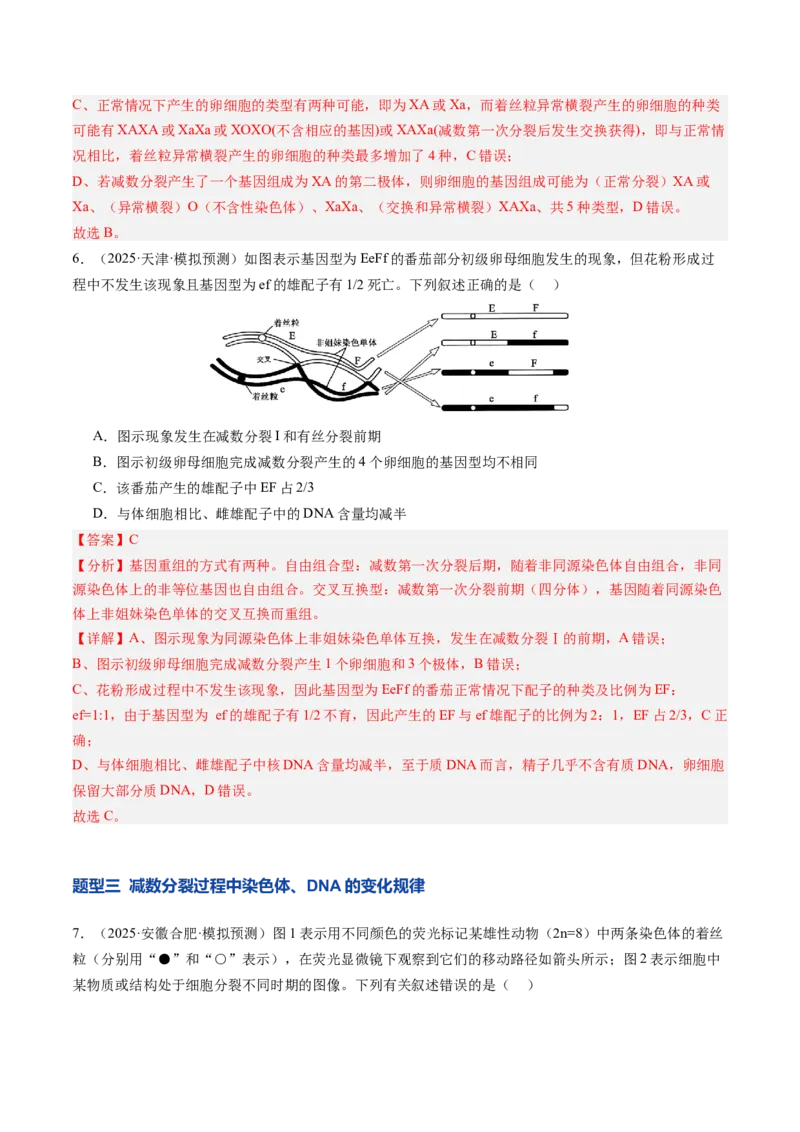 《第14讲减数分裂和受精作用（专项训练）（安徽专用）（教师版）_高考一二三轮复习_生物_2026年高考生物一轮_2026年高考生物一轮课件+讲义+练习（安徽专用）-G326》第5页预览