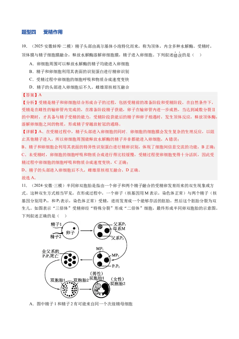 《第14讲减数分裂和受精作用（专项训练）（安徽专用）（教师版）_高考一二三轮复习_生物_2026年高考生物一轮_2026年高考生物一轮课件+讲义+练习（安徽专用）-G326》第8页预览