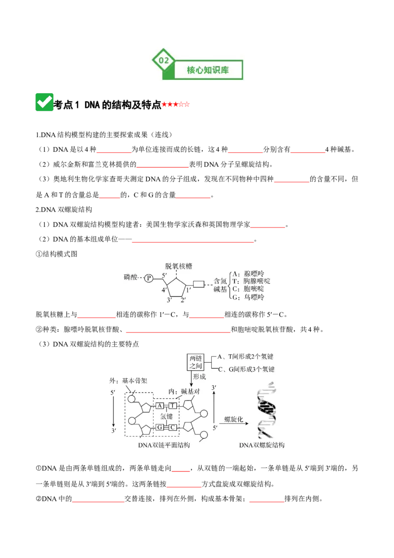 《第20讲DNA分子的结构、复制与基因的本质（知识清单）（全国通用）（学生版）_高考一二三轮复习_生物_2026年高考生物一轮_2026年高考生物一轮复习知识清单（全国通用）-G56_2026版》第3页预览