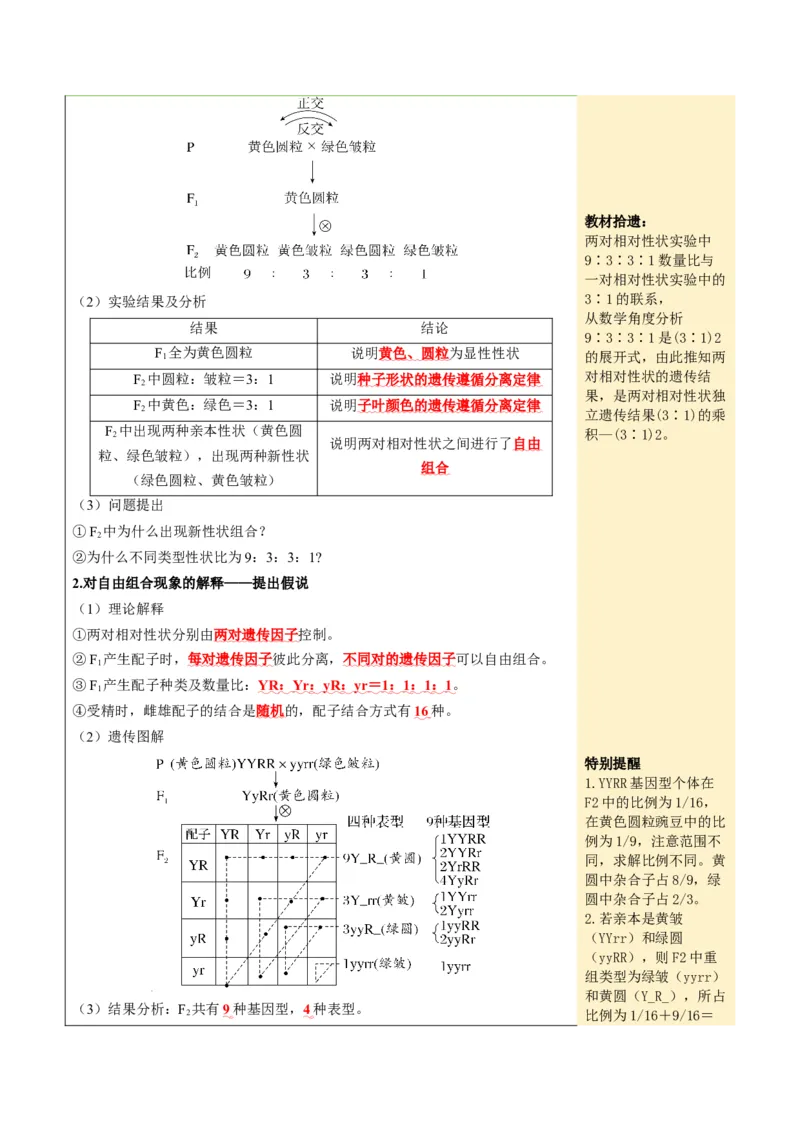 《第16讲自由组合定律（知识清单）（全国通用）（学生版）_高考一二三轮复习_生物_2027年高考生物一轮_2027年高考生物一轮复习知识清单（全国通用）-G56_2027版》第4页预览