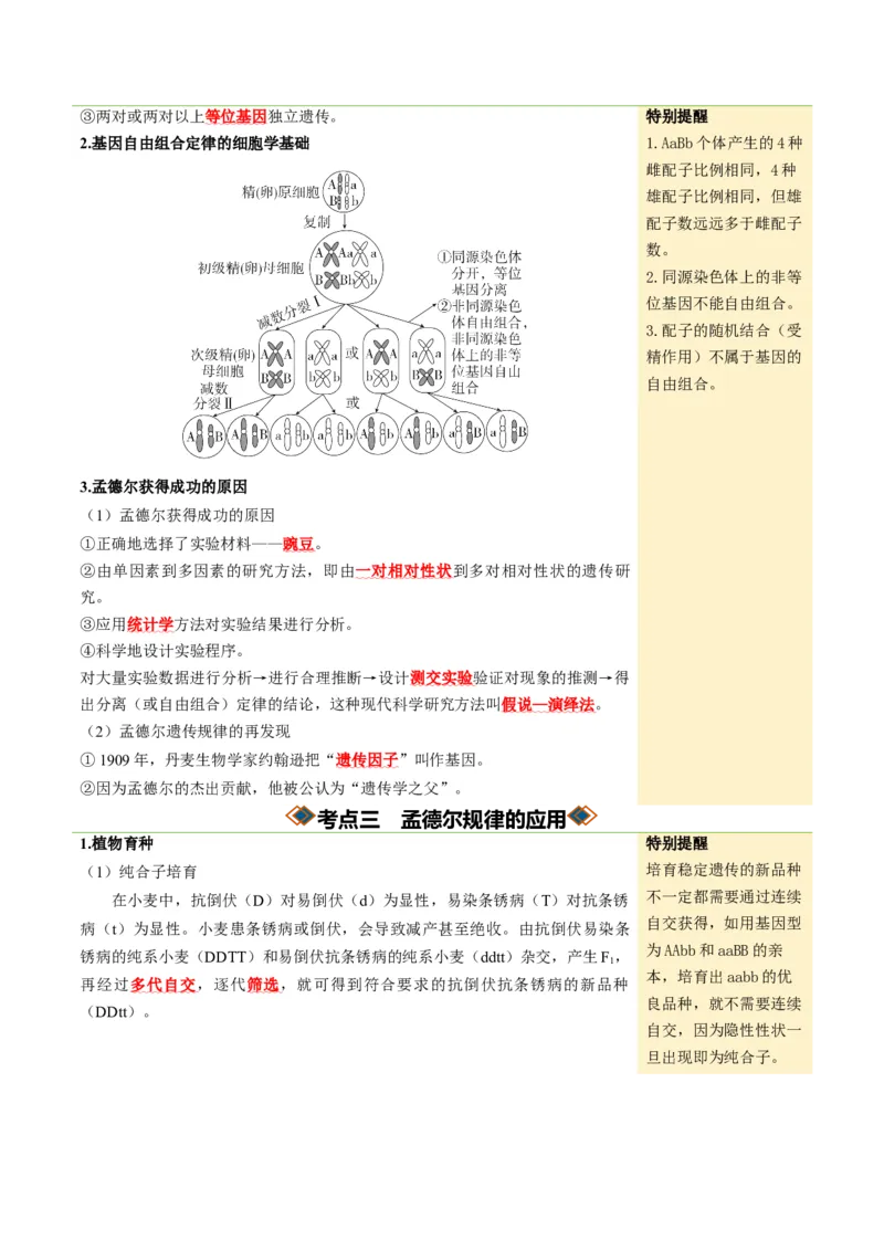 《第16讲自由组合定律（知识清单）（全国通用）（学生版）_高考一二三轮复习_生物_2027年高考生物一轮_2027年高考生物一轮复习知识清单（全国通用）-G56_2027版》第6页预览