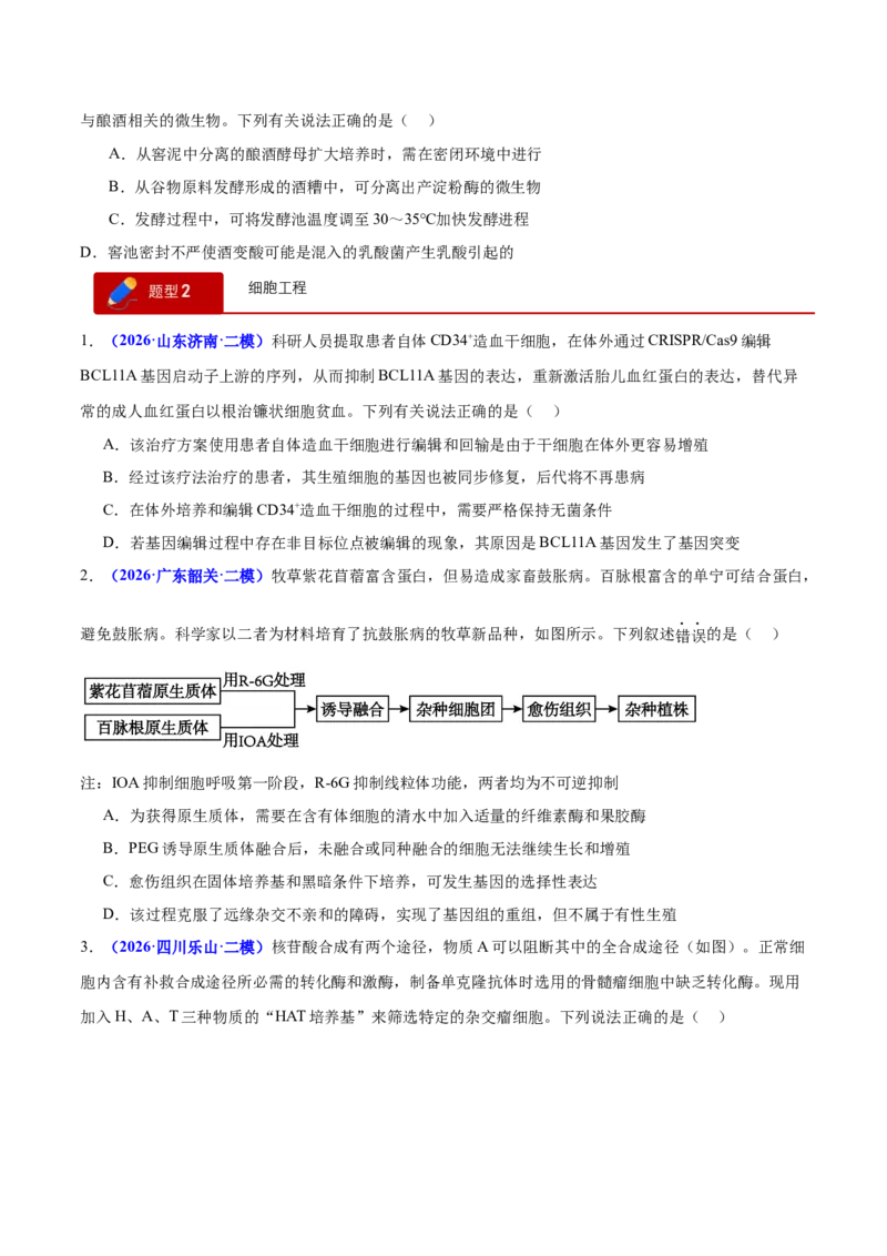 《专题08生物技术与工程（学生版）(1)_高考一二三轮复习_生物_2027年高考生物专项_2026年高考生物二模试题分类汇编（新高考专用）-G288_2026版》第4页预览
