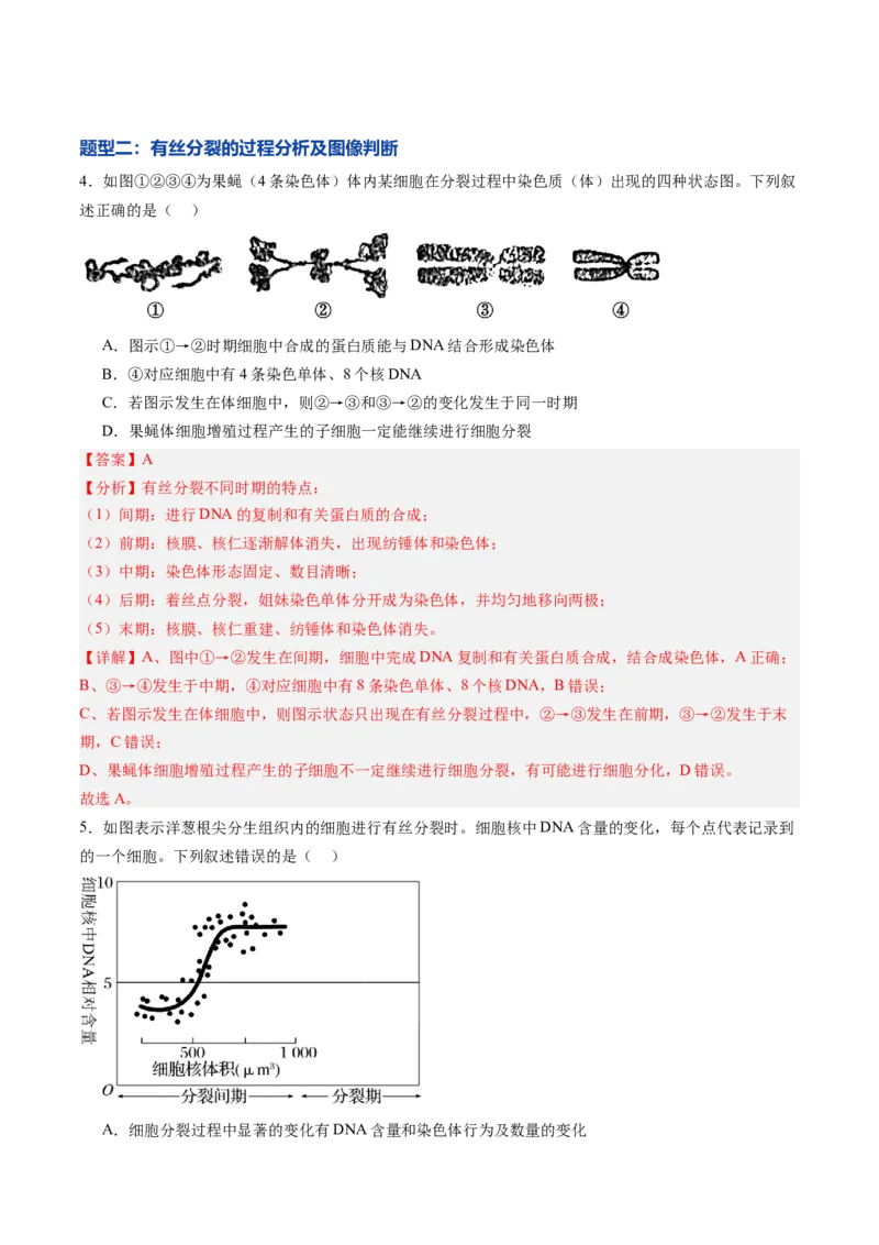 《第11讲细胞增殖（专项训练）（黑吉辽蒙专用）（教师版）_高考一二三轮复习_生物_2026年高考生物一轮_2026年高考生物一轮课件+讲义+练习（黑吉辽蒙专用）-G330》第3页预览