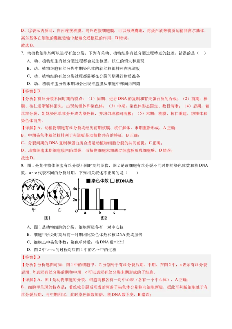 《第11讲细胞增殖（专项训练）（黑吉辽蒙专用）（教师版）_高考一二三轮复习_生物_2026年高考生物一轮_2026年高考生物一轮课件+讲义+练习（黑吉辽蒙专用）-G330》第5页预览