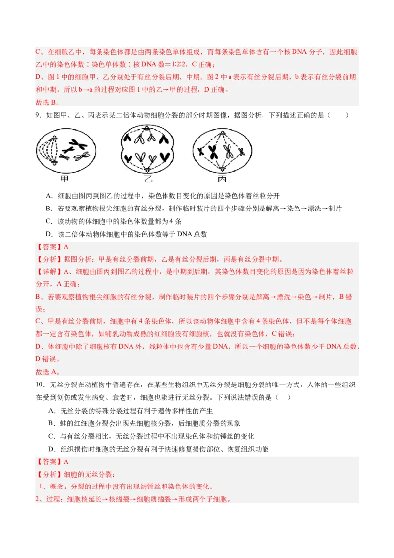《第11讲细胞增殖（专项训练）（黑吉辽蒙专用）（教师版）_高考一二三轮复习_生物_2026年高考生物一轮_2026年高考生物一轮课件+讲义+练习（黑吉辽蒙专用）-G330》第6页预览