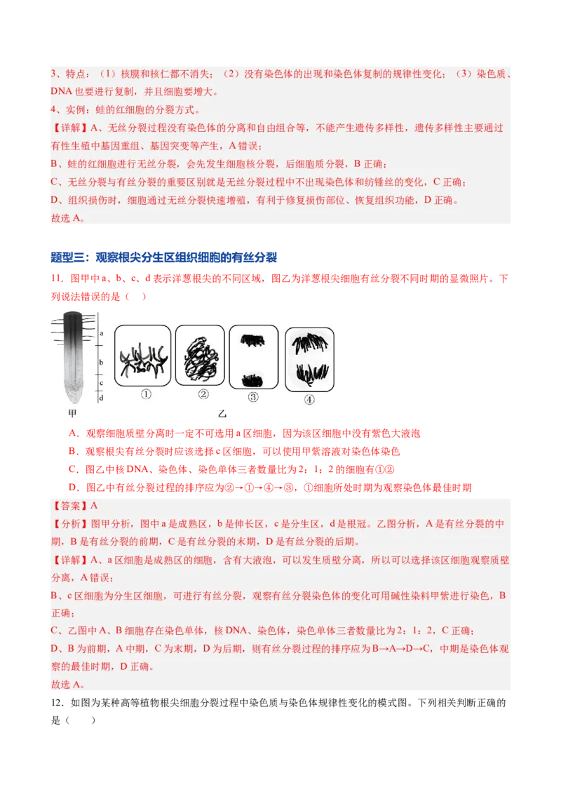 《第11讲细胞增殖（专项训练）（黑吉辽蒙专用）（教师版）_高考一二三轮复习_生物_2026年高考生物一轮_2026年高考生物一轮课件+讲义+练习（黑吉辽蒙专用）-G330》第7页预览