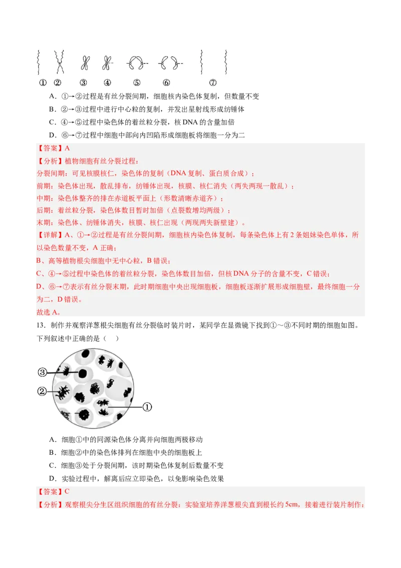 《第11讲细胞增殖（专项训练）（黑吉辽蒙专用）（教师版）_高考一二三轮复习_生物_2026年高考生物一轮_2026年高考生物一轮课件+讲义+练习（黑吉辽蒙专用）-G330》第8页预览