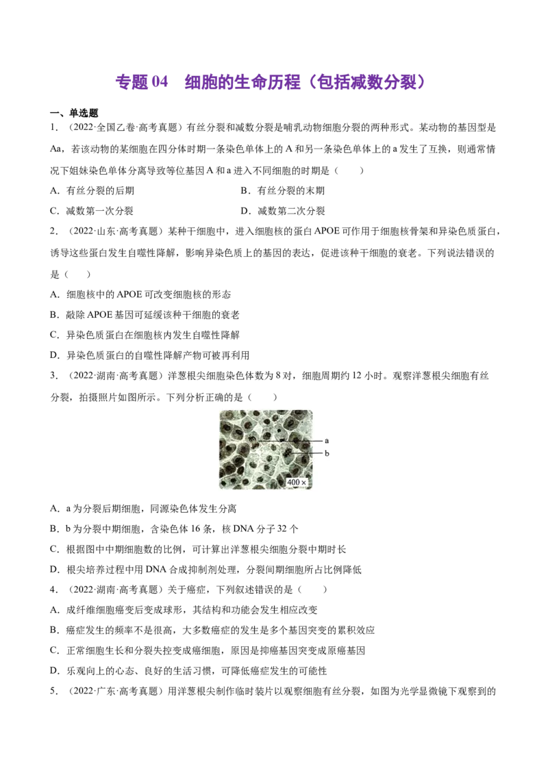 《专题04细胞的生命历程（包括减数分裂）-十年（2013-2022）高考生物真题分项汇编（全国通用）（学生版）_初高中资料库_高中资料库（转存避免链接过期失效）_高中生物》第1页预览