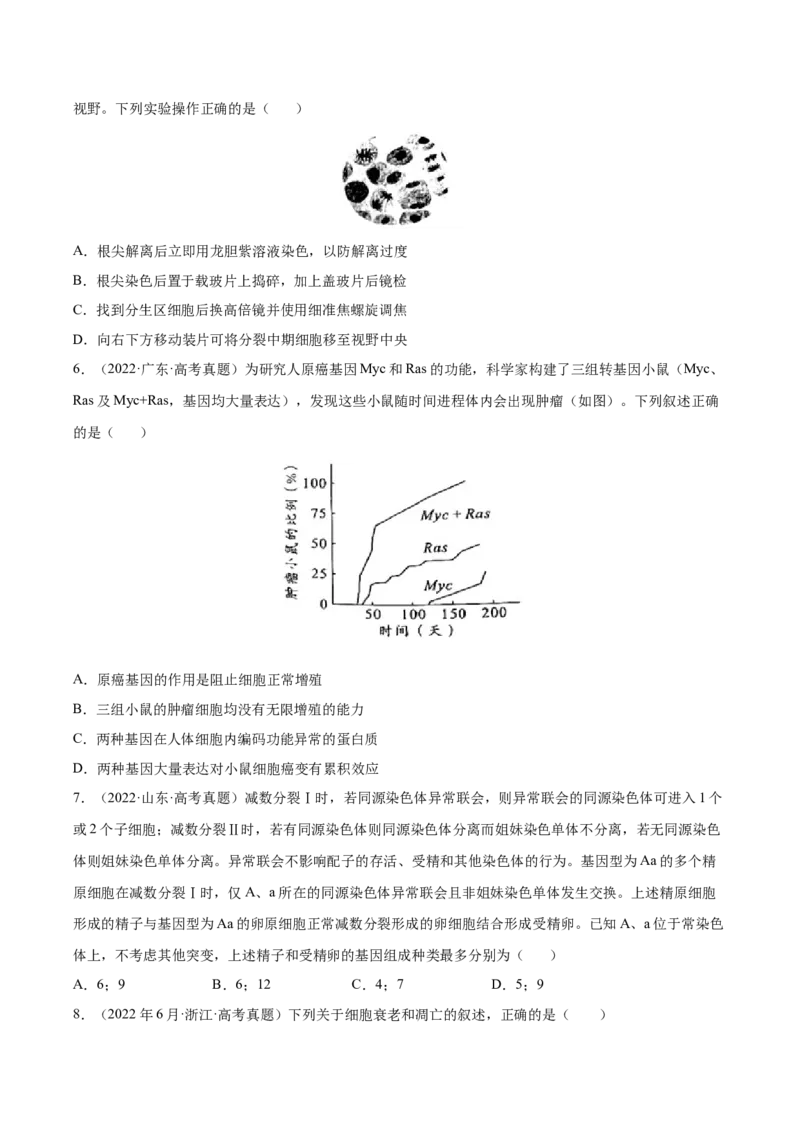 《专题04细胞的生命历程（包括减数分裂）-十年（2013-2022）高考生物真题分项汇编（全国通用）（学生版）_初高中资料库_高中资料库（转存避免链接过期失效）_高中生物》第2页预览