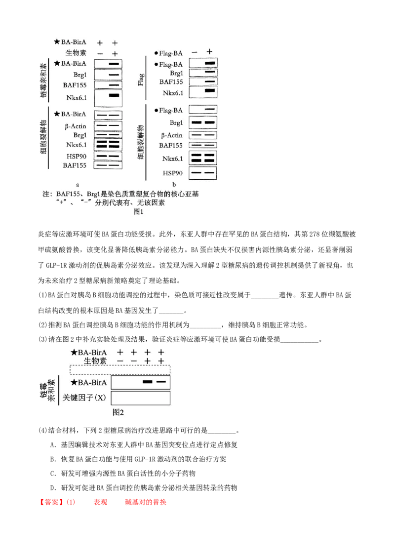 《专题08体液调节与免疫调节（教师版）(1)_高考一二三轮复习_生物_2027年高考生物专项_2026年高考生物一模试题分类汇编（新高考通用）-G178_2026版》第7页预览