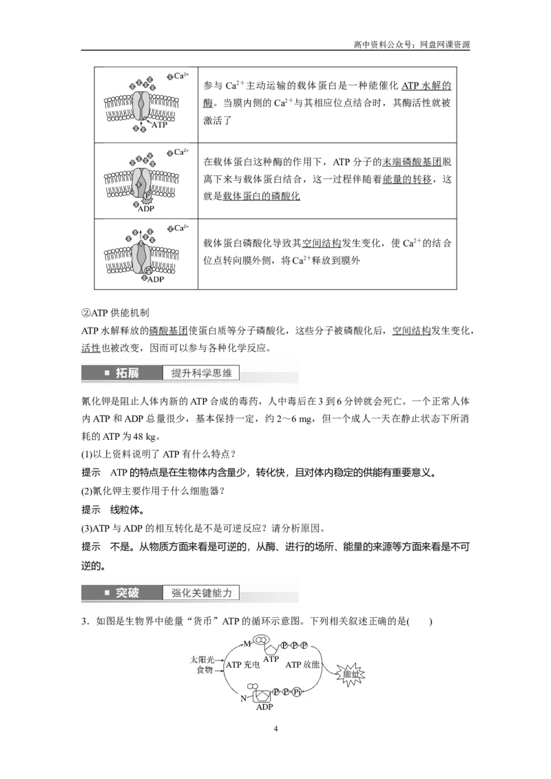 《2024年高考生物一轮复习（新人教版）第3单元　第2课时　细胞的能量“货币”ATP_初高中资料库_高中资料库（转存避免链接过期失效）_高中生物》第4页预览