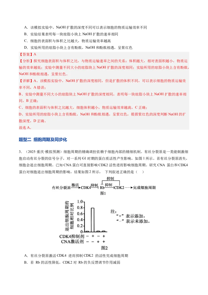 《第13讲细胞的增殖（专项训练）（安徽专用）（教师版）_高考一二三轮复习_生物_2026年高考生物一轮_2026年高考生物一轮课件+讲义+练习（安徽专用）-G326》第2页预览