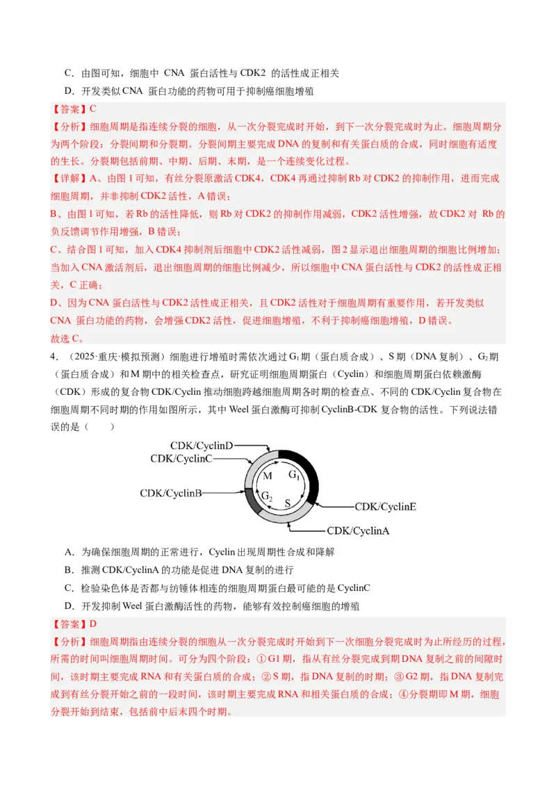 《第13讲细胞的增殖（专项训练）（安徽专用）（教师版）_高考一二三轮复习_生物_2026年高考生物一轮_2026年高考生物一轮课件+讲义+练习（安徽专用）-G326》第3页预览