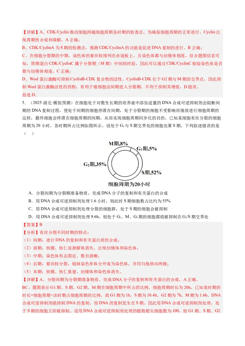 《第13讲细胞的增殖（专项训练）（安徽专用）（教师版）_高考一二三轮复习_生物_2026年高考生物一轮_2026年高考生物一轮课件+讲义+练习（安徽专用）-G326》第4页预览