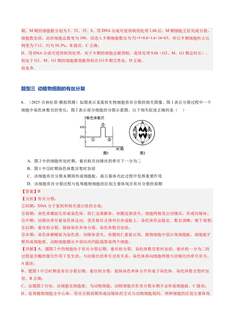 《第13讲细胞的增殖（专项训练）（安徽专用）（教师版）_高考一二三轮复习_生物_2026年高考生物一轮_2026年高考生物一轮课件+讲义+练习（安徽专用）-G326》第5页预览