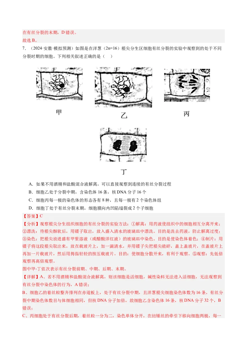 《第13讲细胞的增殖（专项训练）（安徽专用）（教师版）_高考一二三轮复习_生物_2026年高考生物一轮_2026年高考生物一轮课件+讲义+练习（安徽专用）-G326》第6页预览