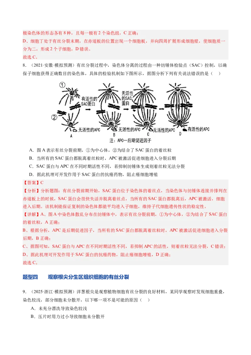 《第13讲细胞的增殖（专项训练）（安徽专用）（教师版）_高考一二三轮复习_生物_2026年高考生物一轮_2026年高考生物一轮课件+讲义+练习（安徽专用）-G326》第7页预览