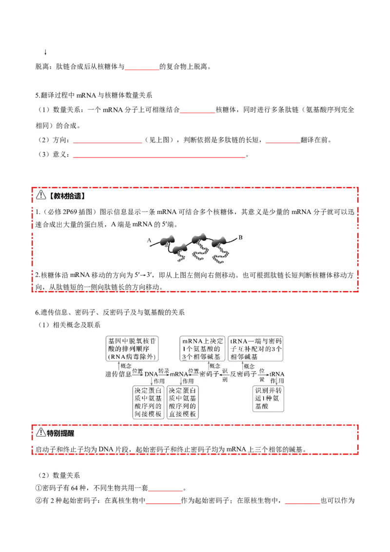 《第21讲基因的表达、基因与性状的关系（知识清单）（全国通用）（学生版）_高考一二三轮复习_生物_2026年高考生物一轮_2026年高考生物一轮复习知识清单（全国通用）-G56_2026版》第6页预览