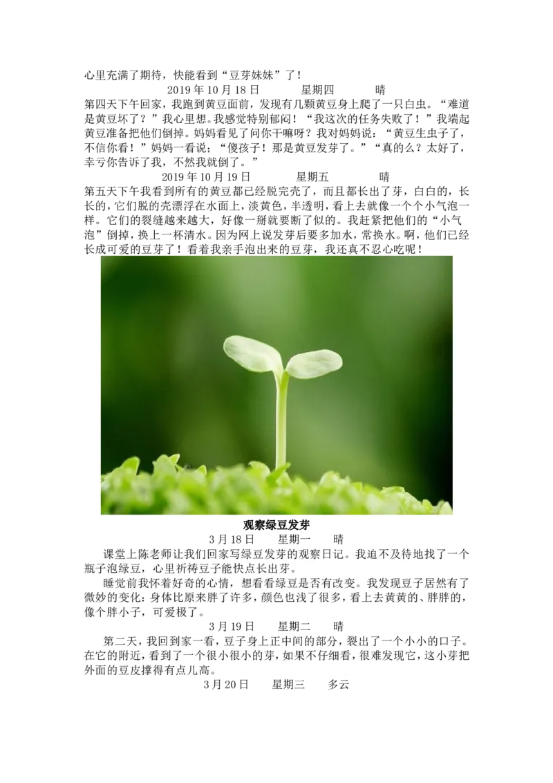 《编版语文四年级上册第三单元作文《观察日记》写作指导+范文+同步练习_4年级上册同步教辅_4上-语文_四上语文作文》第6页预览