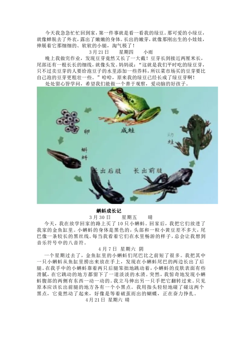 《编版语文四年级上册第三单元作文《观察日记》写作指导+范文+同步练习_4年级上册同步教辅_4上-语文_四上语文作文》第7页预览
