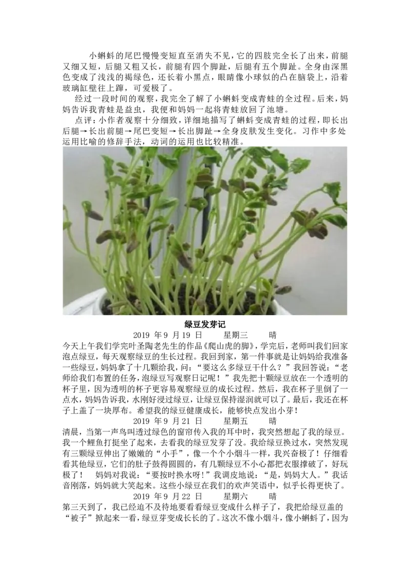 《编版语文四年级上册第三单元作文《观察日记》写作指导+范文+同步练习_4年级上册同步教辅_4上-语文_四上语文作文》第8页预览