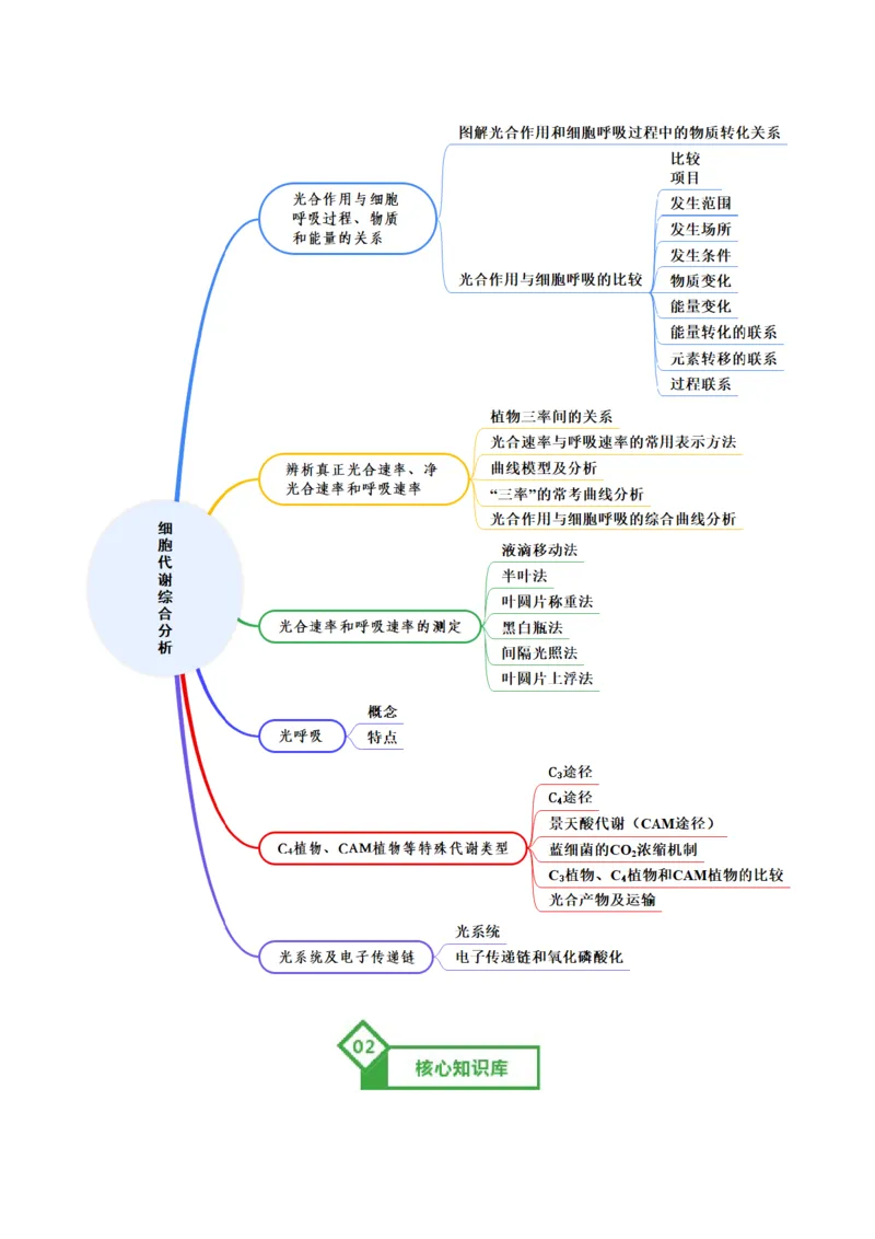 《第11讲细胞代谢综合分析（知识清单）（全国通用）（学生版）_高考一二三轮复习_生物_2026年高考生物一轮_2026年高考生物一轮复习讲义+练习+课件（新教材新高考）-G55_2026版》第2页预览
