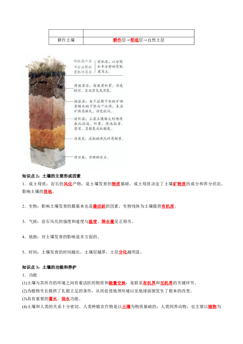 《第5章植被与土壤（教师版）-高中地理知识总结（人教版必修第一册）_2027高中必刷题_必刷题2027_2027高一高二必刷题_地理_人教版必修1-高中地理》第4页预览