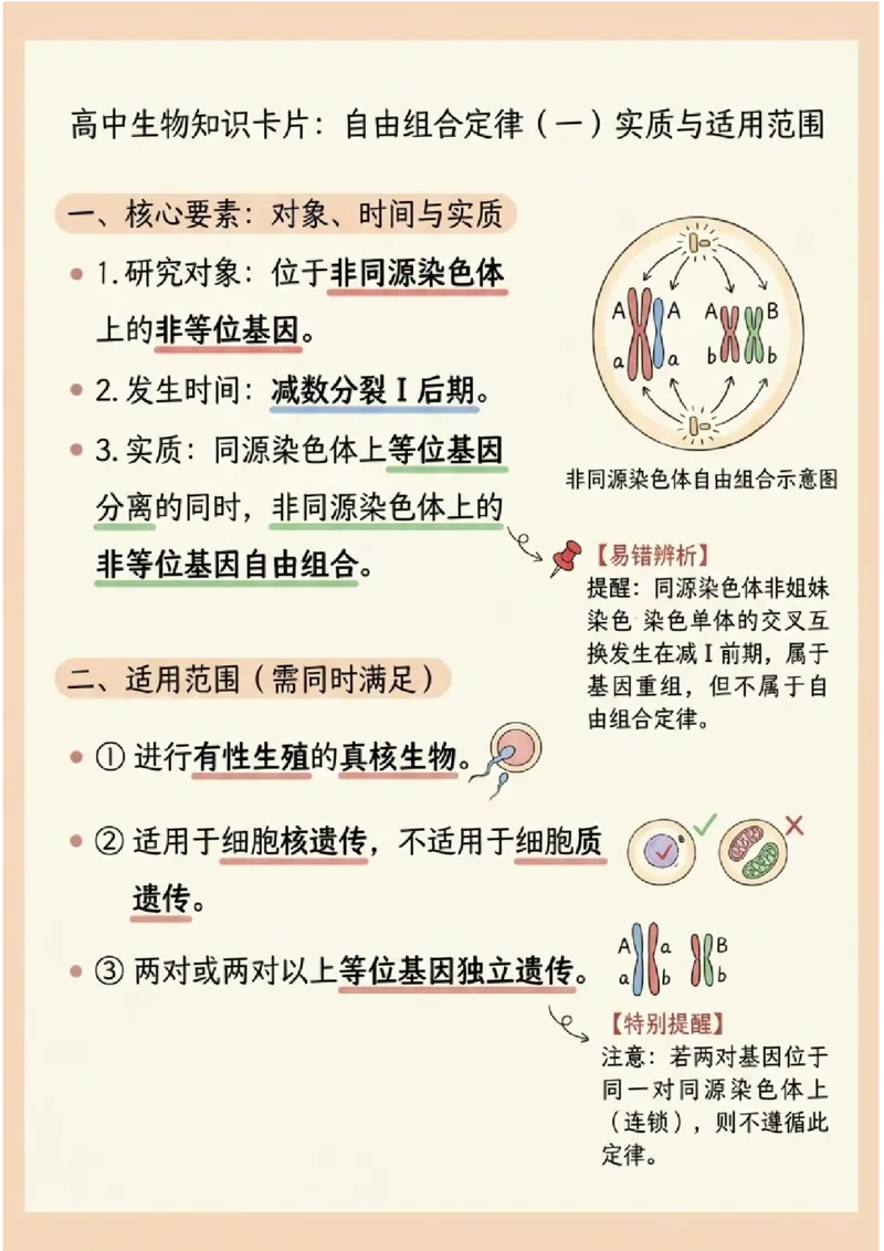 《第16讲自由组合定律(图文版知识清单)_高考一二三轮复习_生物_2027年高考生物一轮_2027年高考生物一轮复习知识清单(全国通用)-G56_2027版》第3页预览